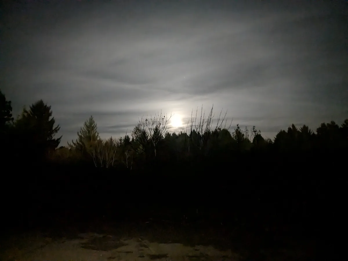 A Hauntingly Beautiful Moonlit Night