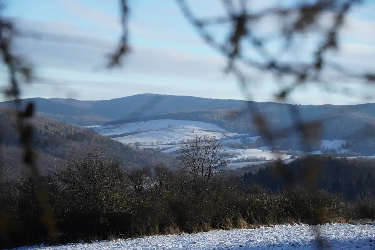 A scenic winter landscape with snow-covered rolling hills, forests, and bare trees, viewed through out-of-focus branches in…
