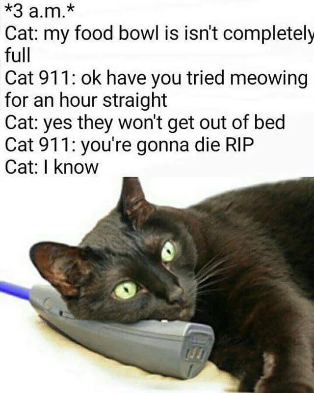 A black cat with glowing green eyes is lying down with its head resting on a gray cordless phone receiver, appearing…