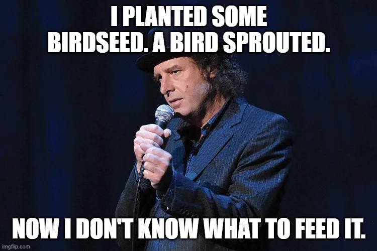 A man with curly hair and a hat holds a microphone on a dark stage. White bold text overlaid on the image reads: 'I PLANTED…