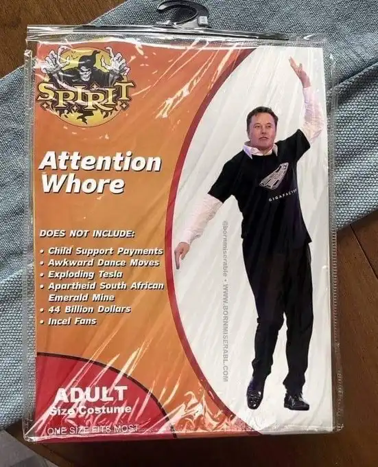 A packaged adult costume labeled 'Attention Whore' features a photo of Elon Musk in a black outfit with one arm raised. The…