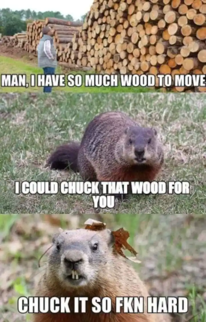 The meme is a three-panel image featuring a man standing before a large pile of logs, a groundhog looking at the camera, and…