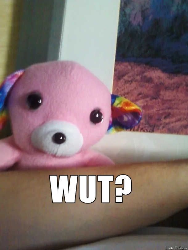 A pink plush toy with rainbow ears is shown peeking over a person's arm, looking confused. The text 'WUT?' is overlaid in…