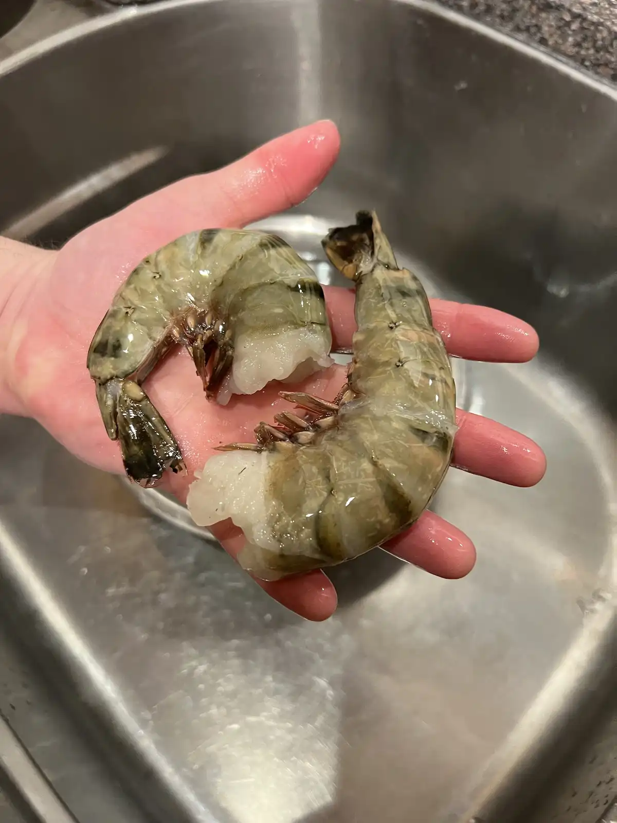 A hand holds two large, raw shrimp over a stainless steel sink, with the shrimp's shells still on and their tails intact…