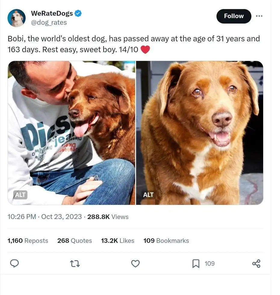 A Twitter post from WeRateDogs announces the death of Bobi, the world's oldest dog, who lived to 31 years and 163 days. The…