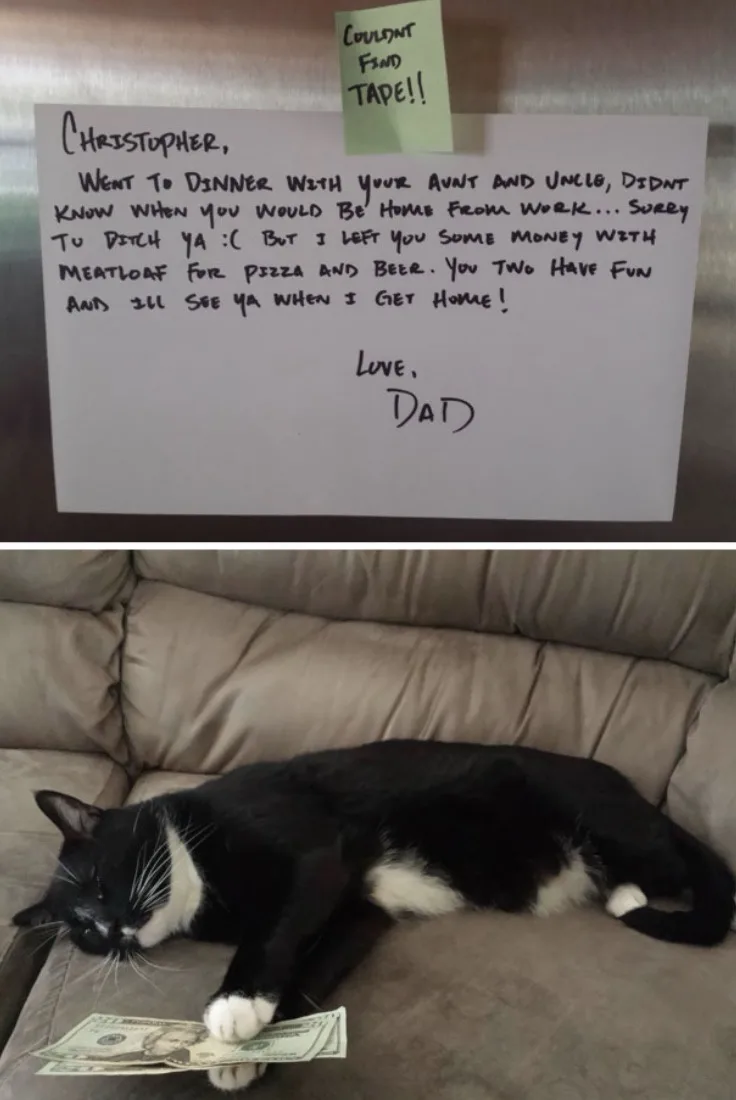 A handwritten note from 'Dad' to 'Christopher' is taped to a fridge, humorously explaining he left money and meatloaf for…