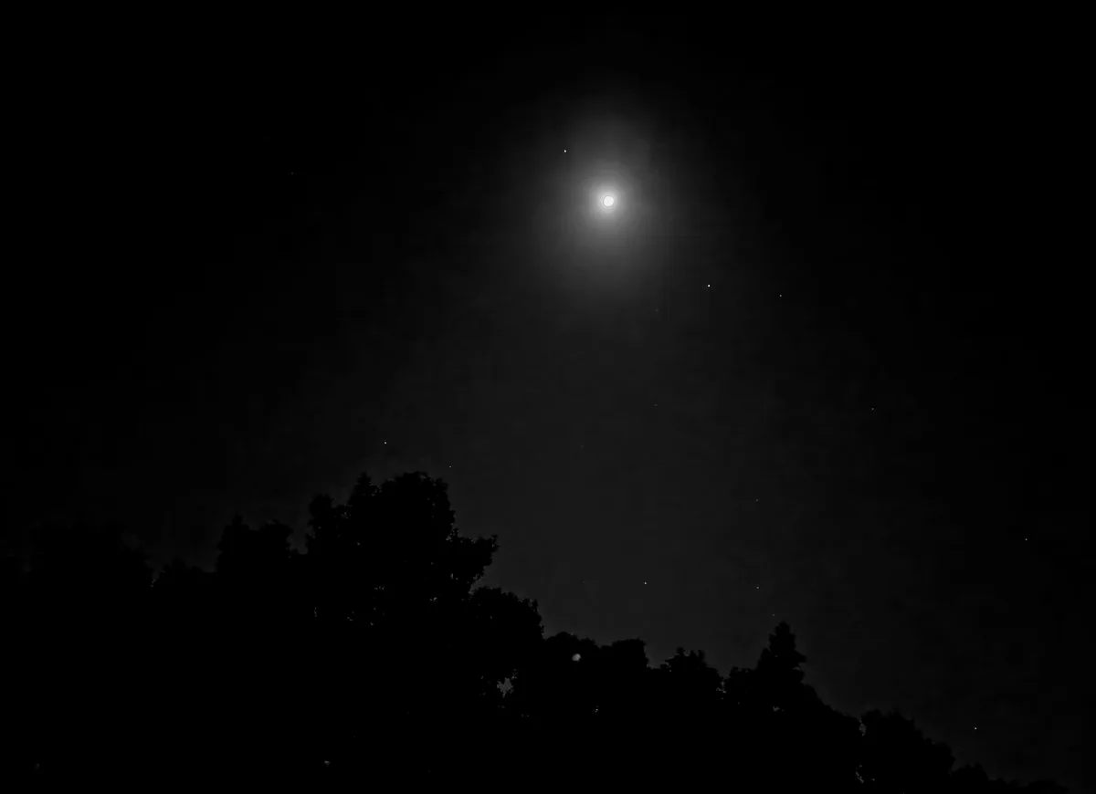 A December Night to Remember