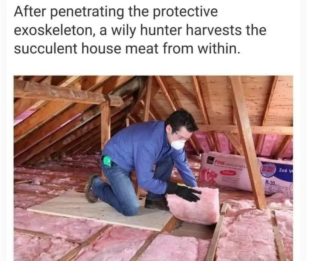 A man wearing a face mask and gloves kneels in an attic filled with pink fiberglass insulation, pulling a large piece of…