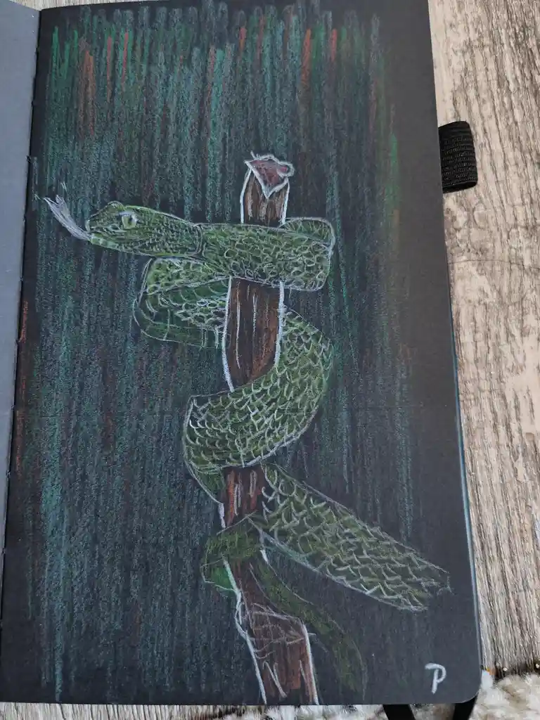 A chalk drawing on black paper shows a green snake coiled around a brown tree trunk, with a dark green and brown striped…
