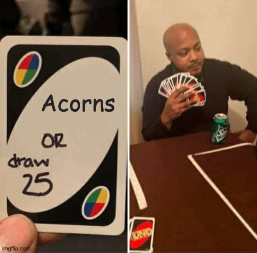 A split image shows a hand holding a modified Uno card with 'Acorns OR draw 25' written on it, next to a man sitting at a…