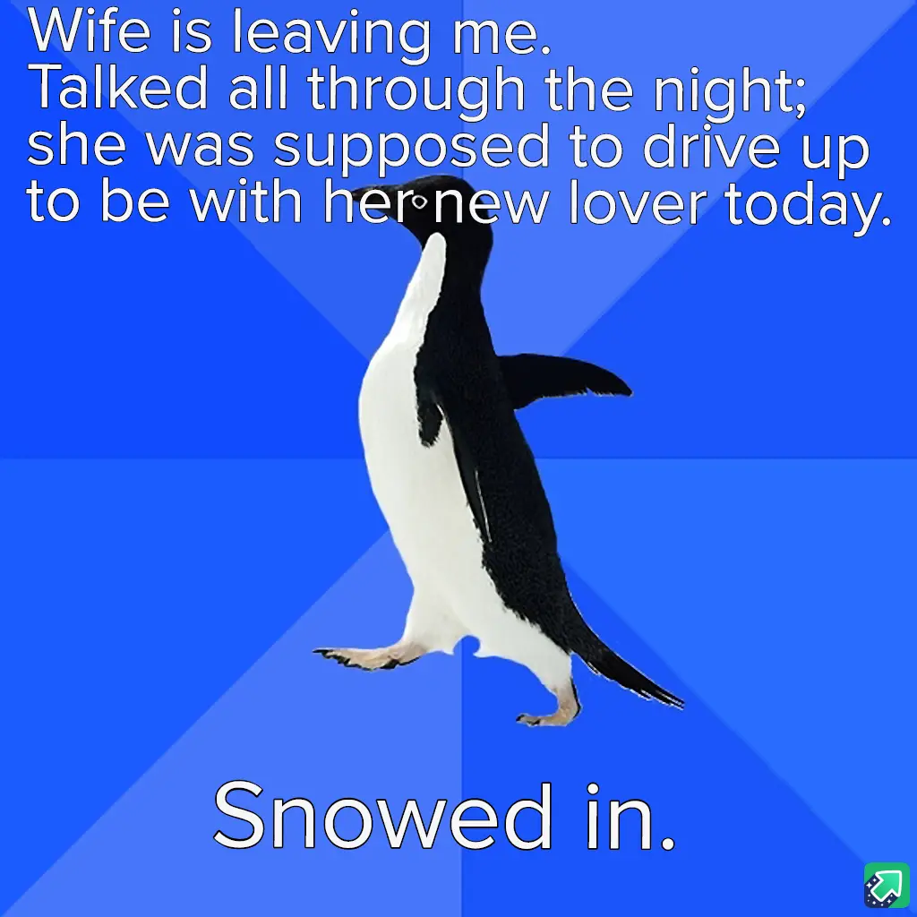 A penguin stands against a blue background with text above and below. The top text reads 'Wife is leaving me. Talked all…