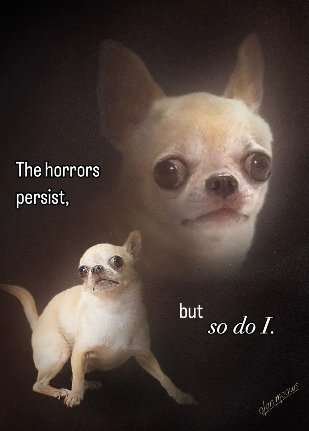 A small, light-colored chihuahua is shown in the foreground against a dark background, with a larger, translucent, ghostly…