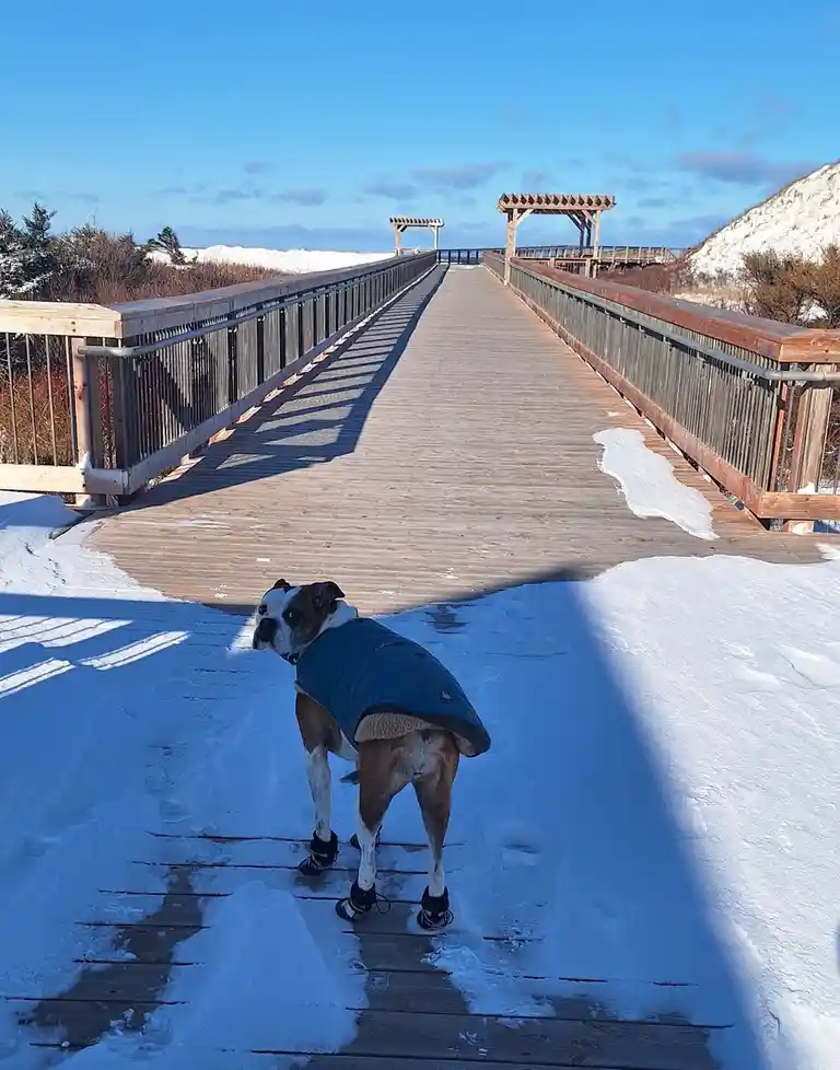 Island Life Episode 31: Surviving the Deep Freeze