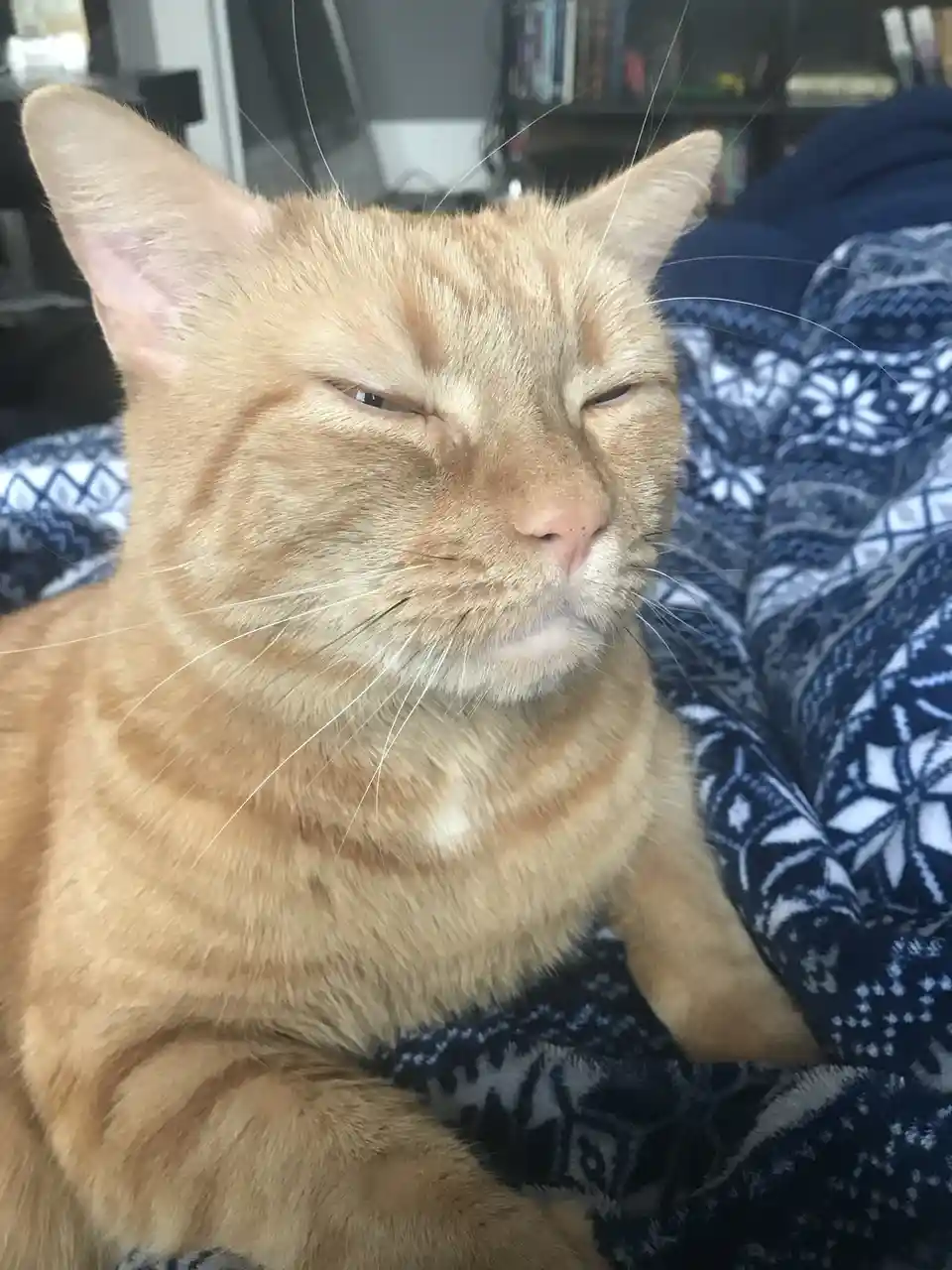 Looking incredibly handsome today!