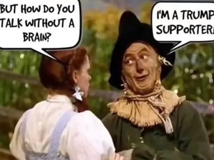 A still from 'The Wizard of Oz' shows Dorothy facing the Scarecrow, who has no brain. Dorothy asks, 'But how do you talk…