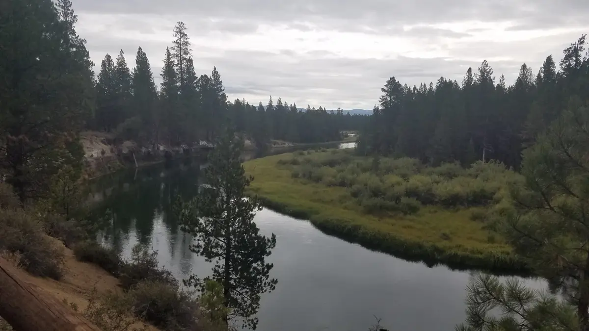 A wide, calm river winds through a forested landscape under an overcast sky, flanked by tall pine trees and green shrubs…