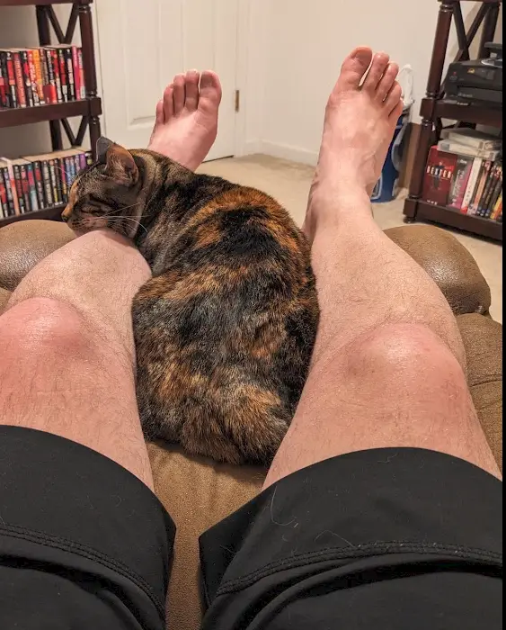 A person is lying back with bare feet up, wearing black shorts, while a calico cat sleeps curled up on their lap. The…