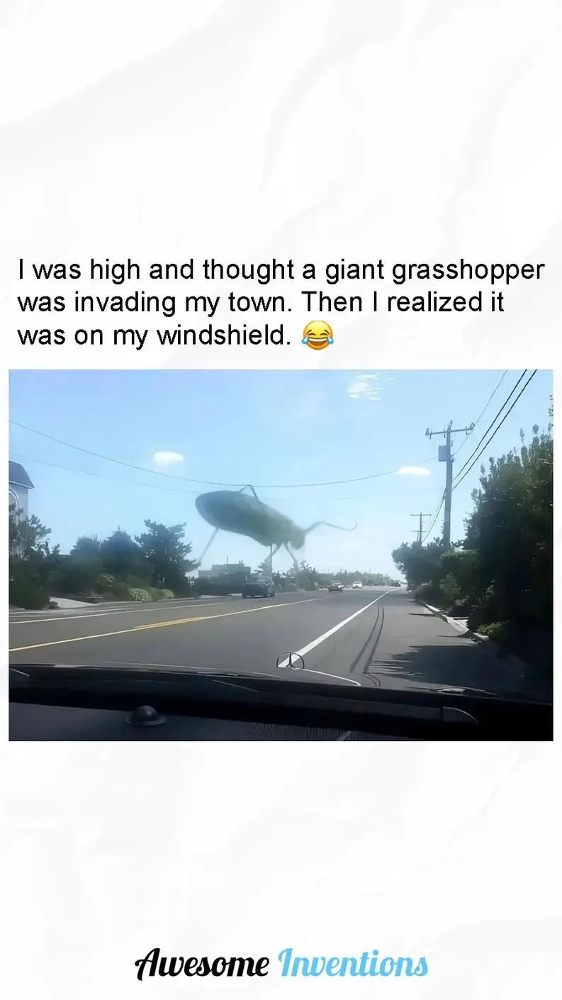A dashcam view from inside a car shows a large, distorted insect-like shape superimposed on the windshield, appearing to…