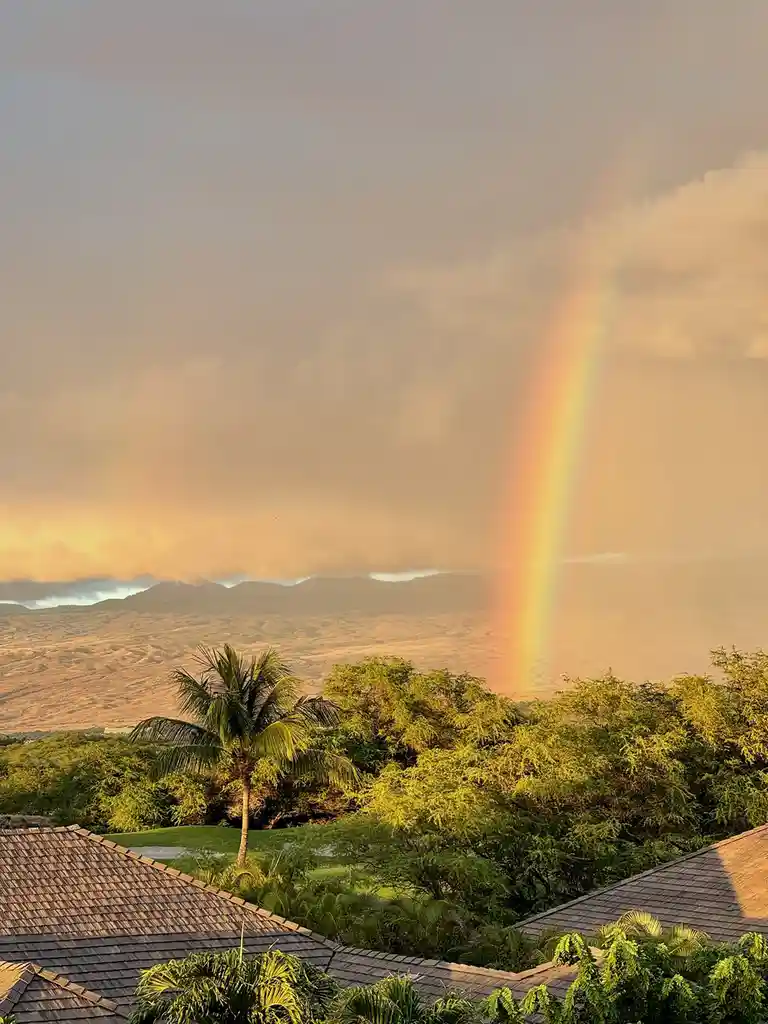 A scenic photo shows a vibrant rainbow arcing through a cloudy sky over a tropical landscape with palm trees, lush greenery…