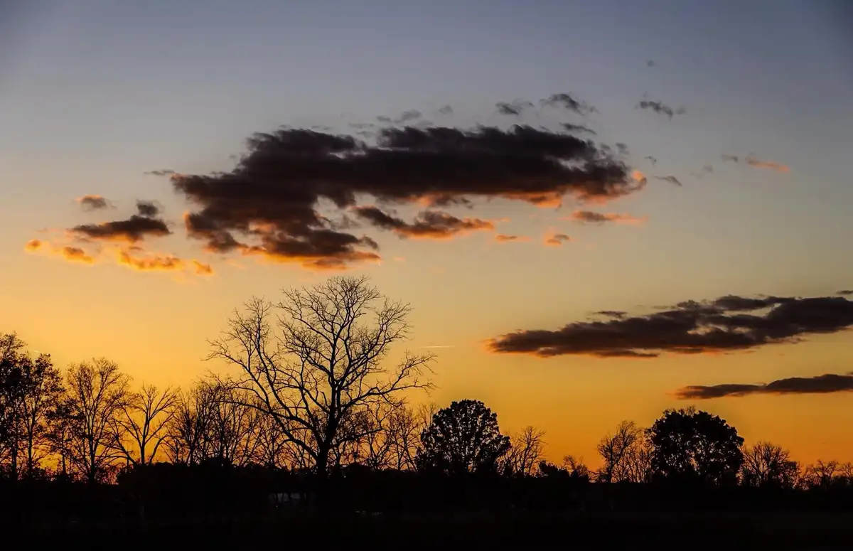 Capturing the Beauty of Sunset