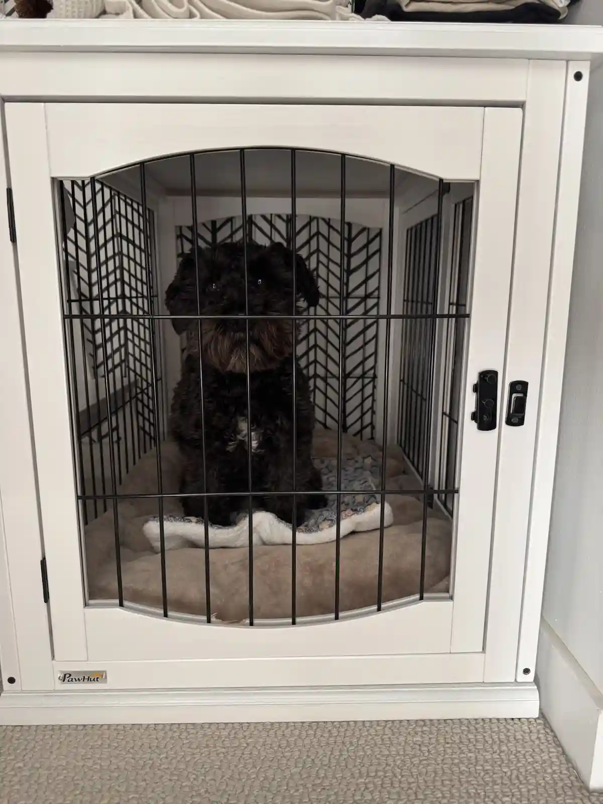 A small black dog with shaggy fur sits upright inside a white, arched-front pet crate with black wire bars, looking directly…