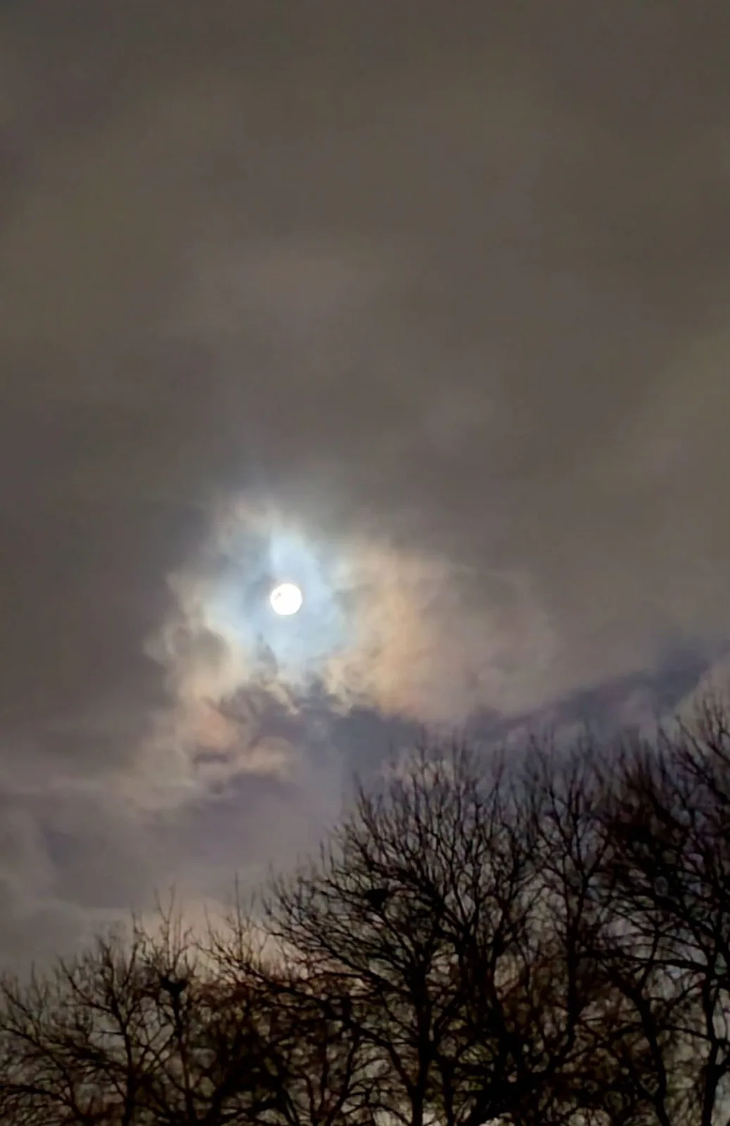 A night sky photo shows a bright moon partially obscured by wispy clouds, with the dark silhouettes of bare tree branches at…