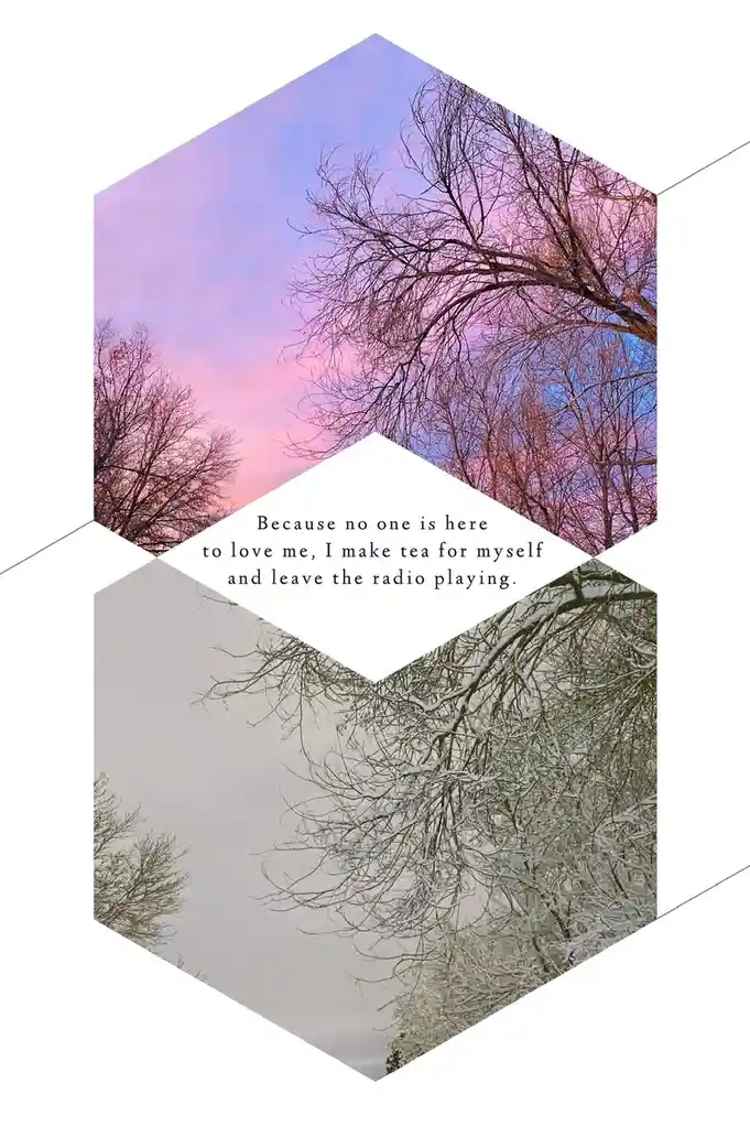 The image displays two hexagonal photos of bare trees against skies: one with pink and purple sunset hues, the other with…