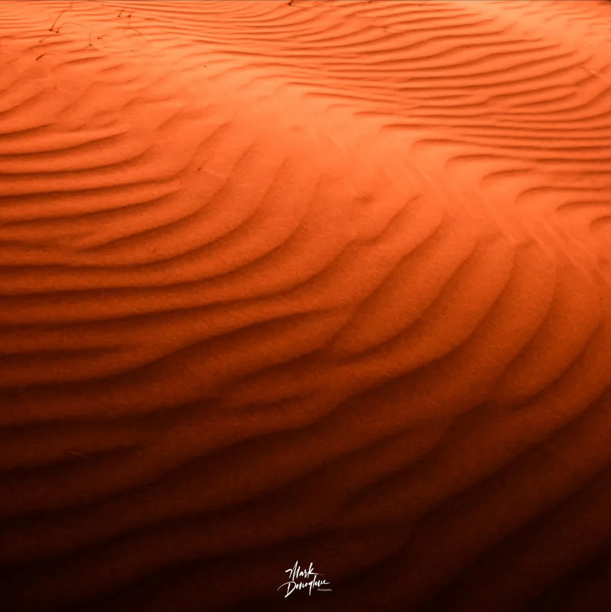 A close-up photograph of orange sand dunes with intricate, wavy ripples under warm lighting, featuring a watermark in the…