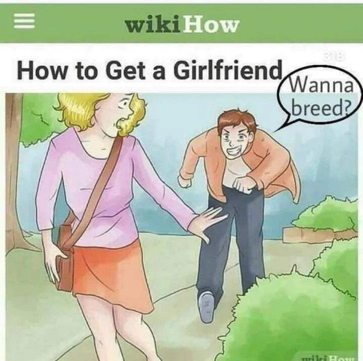 An illustrated wikiHow article titled 'How to Get a Girlfriend' shows a man lunging toward a woman with a speech bubble…