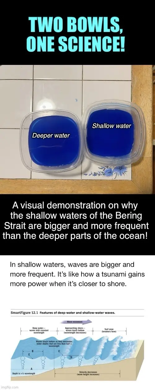 The image shows two plastic bowls filled with blue liquid, labeled 'Deeper water' and 'Shallow water', placed on a tiled…