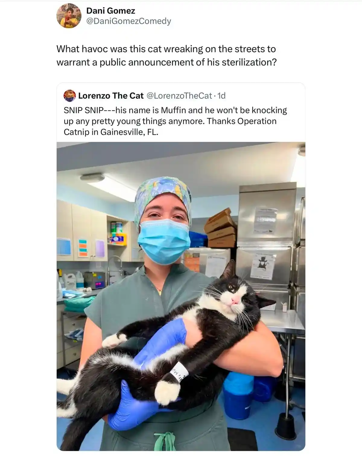 A person in medical scrubs and a surgical mask holds a black and white cat in blue gloves. The cat has a white band on its…