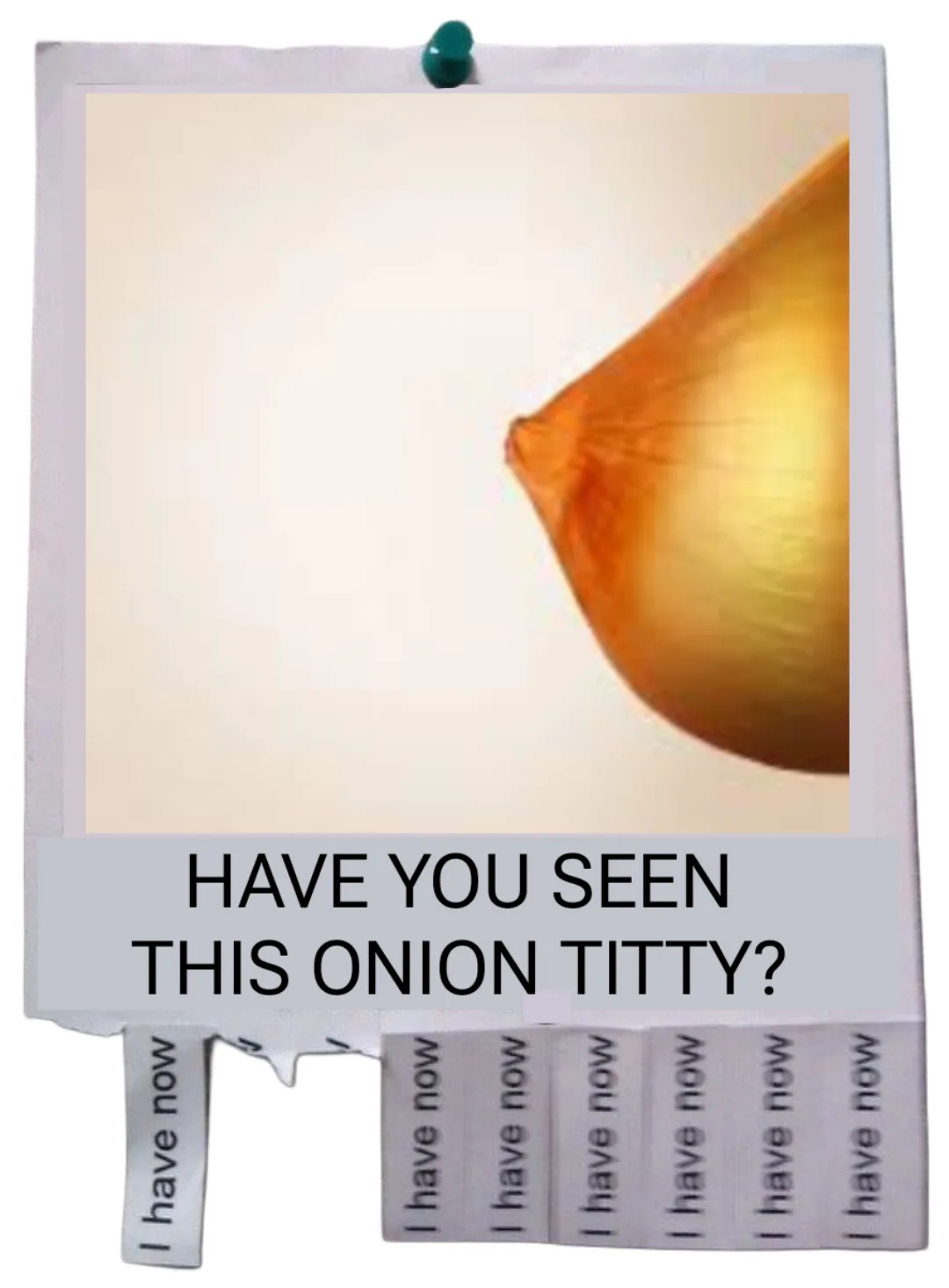 A close-up photo of a golden-brown onion, framed like a lost-and-found notice pinned with a teal thumbtack. Overlaid text…