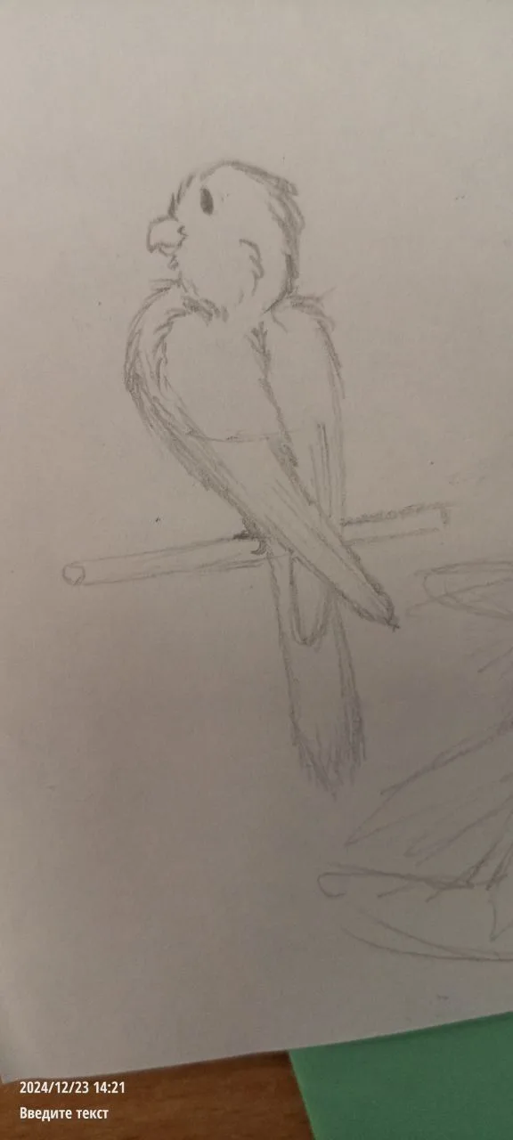A simple pencil sketch of a bird perched on a stick, drawn on plain paper. The image has a timestamp '2024/12/23 14:21' and…