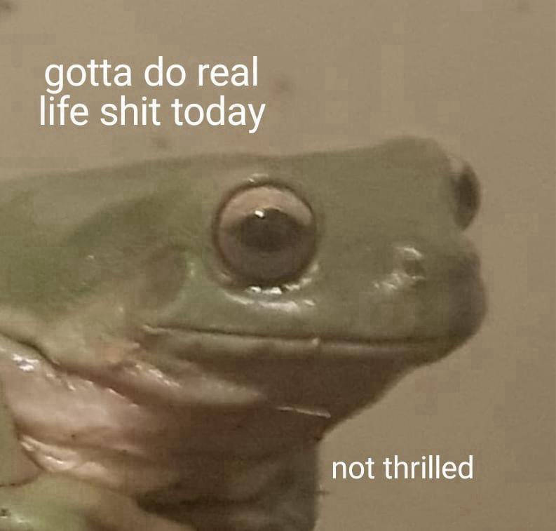 A close-up photo of a green frog with a slightly downturned mouth and large, unenthusiastic eyes. White text overlaid at the…