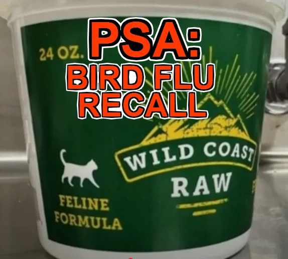 A close-up of a green 24-ounce container labeled 'WILD COAST RAW' with a white cat silhouette and text 'FELINE FORMULA'…