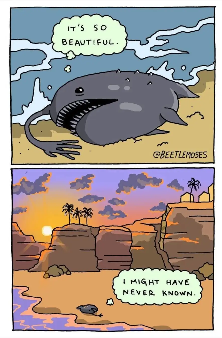 A two-panel comic shows a large, gray, cartoonish shark-like creature with a wide grin and visible teeth, lying on a sandy…
