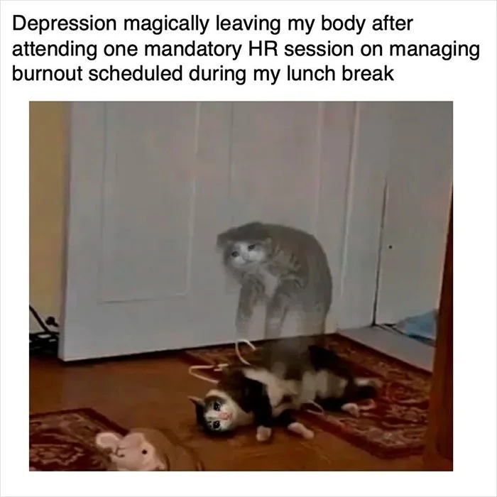 A cat appears to be levitating or fading away while another cat lies motionless on the floor, suggesting the first cat is…