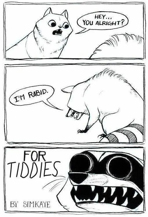 A three-panel comic strip shows a fluffy cat asking a raccoon 'HEY... YOU ALRIGHT?' The raccoon replies 'I'M RABID.' The…