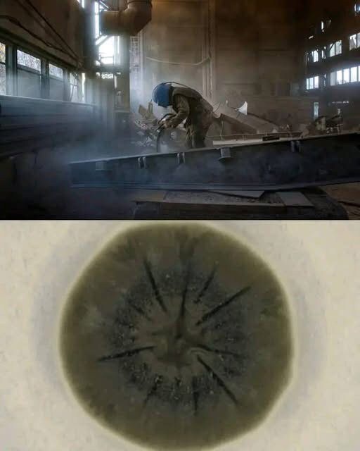 The image is split into two parts: the top shows a welder in a factory wearing a blue helmet and welding gear, creating…