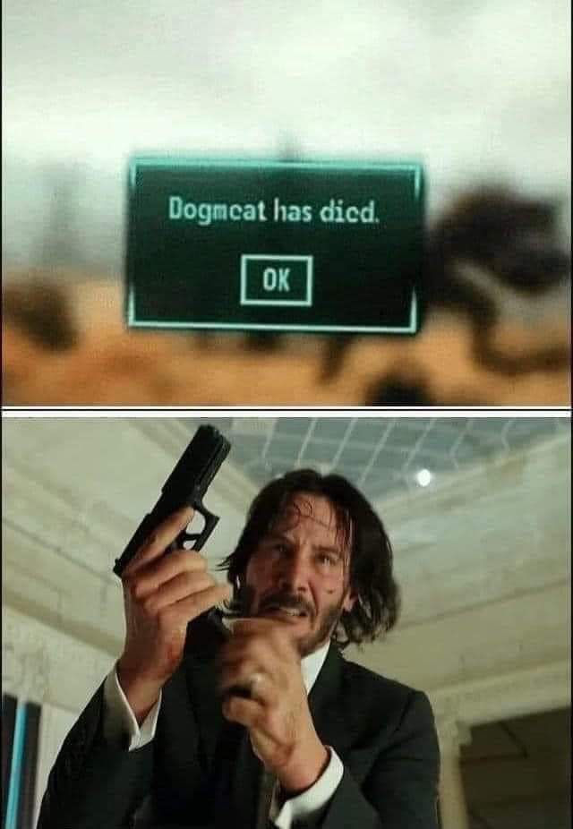 The top panel shows a video game death screen with the text 'Dogmeat has died.' and an 'OK' button, set against a blurry…