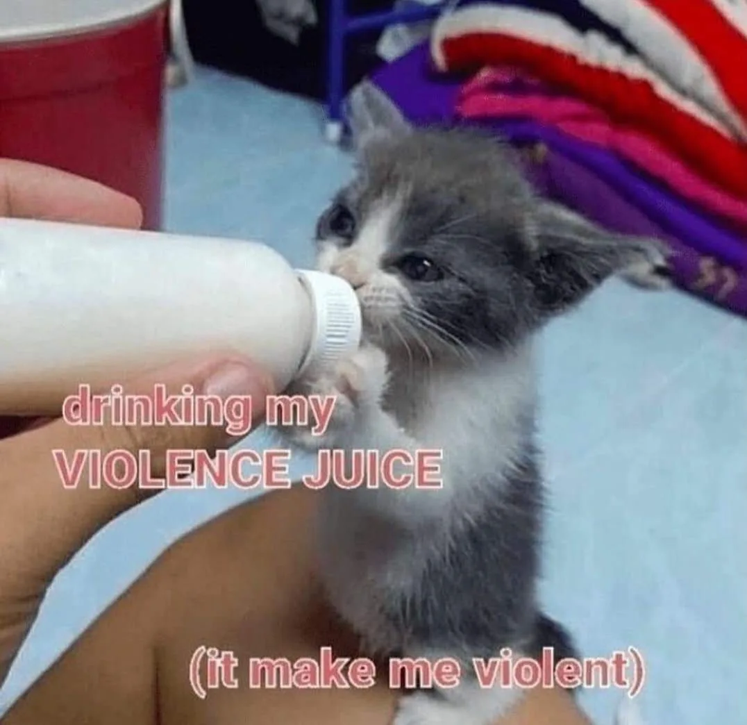 A small gray and white kitten is being bottle-fed by a person's hand, looking directly at the camera with wide eyes…