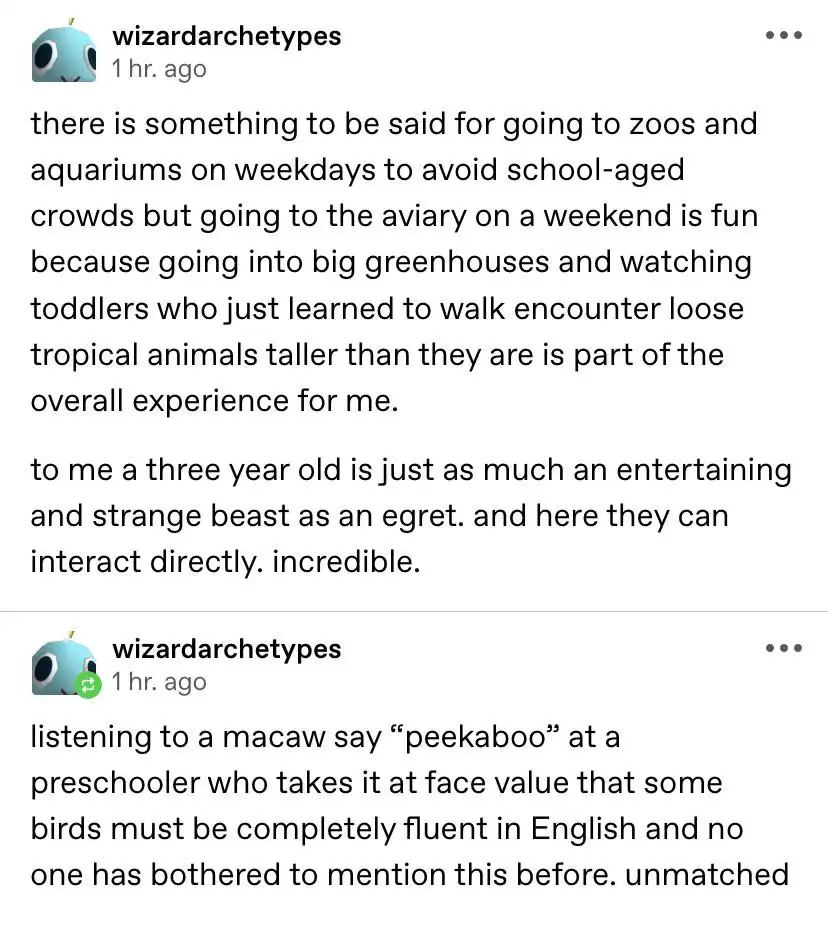 The image displays two identical social media posts from a user named 'wizardarchetypes', each containing a paragraph of…