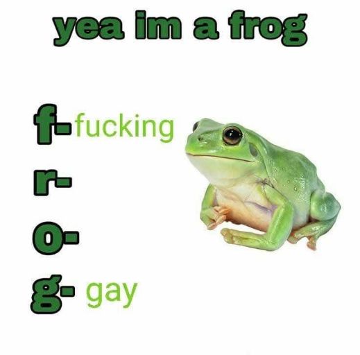 A green frog sits on a white background with text overlaid. The top text reads 'yea im a frog'. Below, the letters 'f', 'r'…