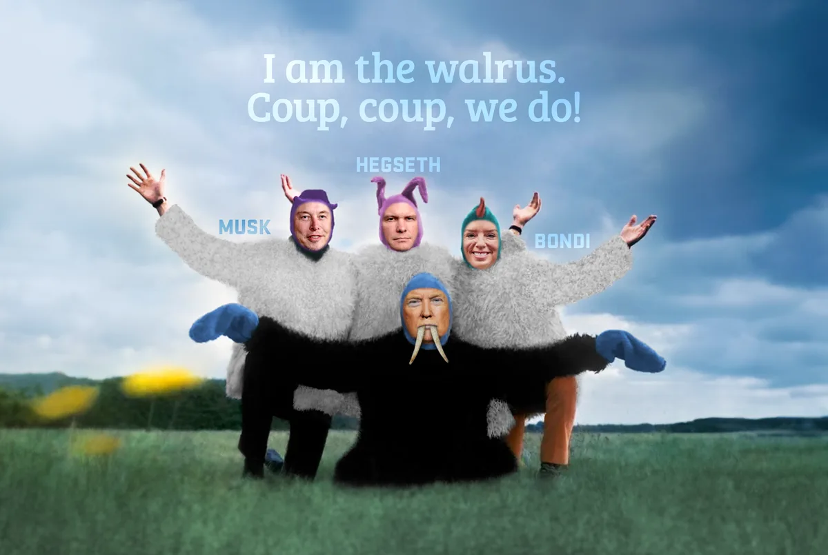 Four people in walrus costumes stand in a field, each labeled with a name: Musk, Hegseth, Bondi, and a fourth person whose…
