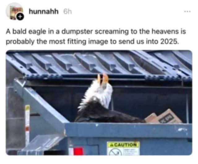 A bald eagle with its head tilted back and beak open, appearing to scream, is perched inside a blue metal dumpster. The…