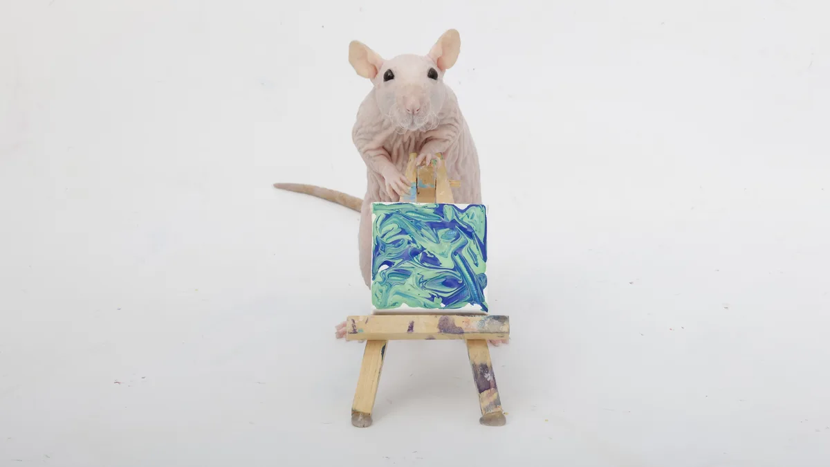 A hairless pink rat stands upright behind a miniature wooden easel, its paws resting on the easel's top bar. In front of it…
