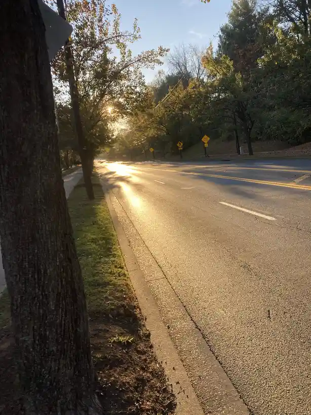 A scenic photo of a quiet road lined with trees during golden hour, with sunlight reflecting off the pavement. A yellow…