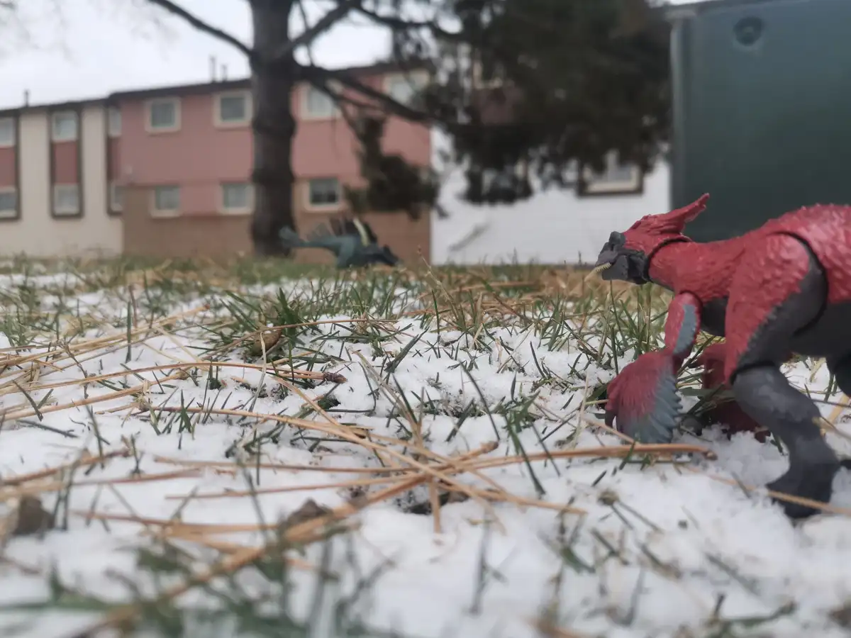 A red and black plastic dinosaur toy stands in a patch of snow and grass, with another green dinosaur toy lying in the…