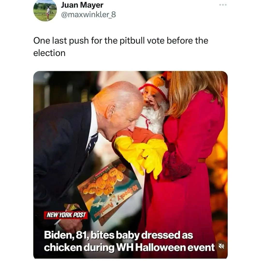 A man in a suit leans in to kiss a baby dressed in a chicken costume, held by a woman in a red coat. The image has a 'NEW…