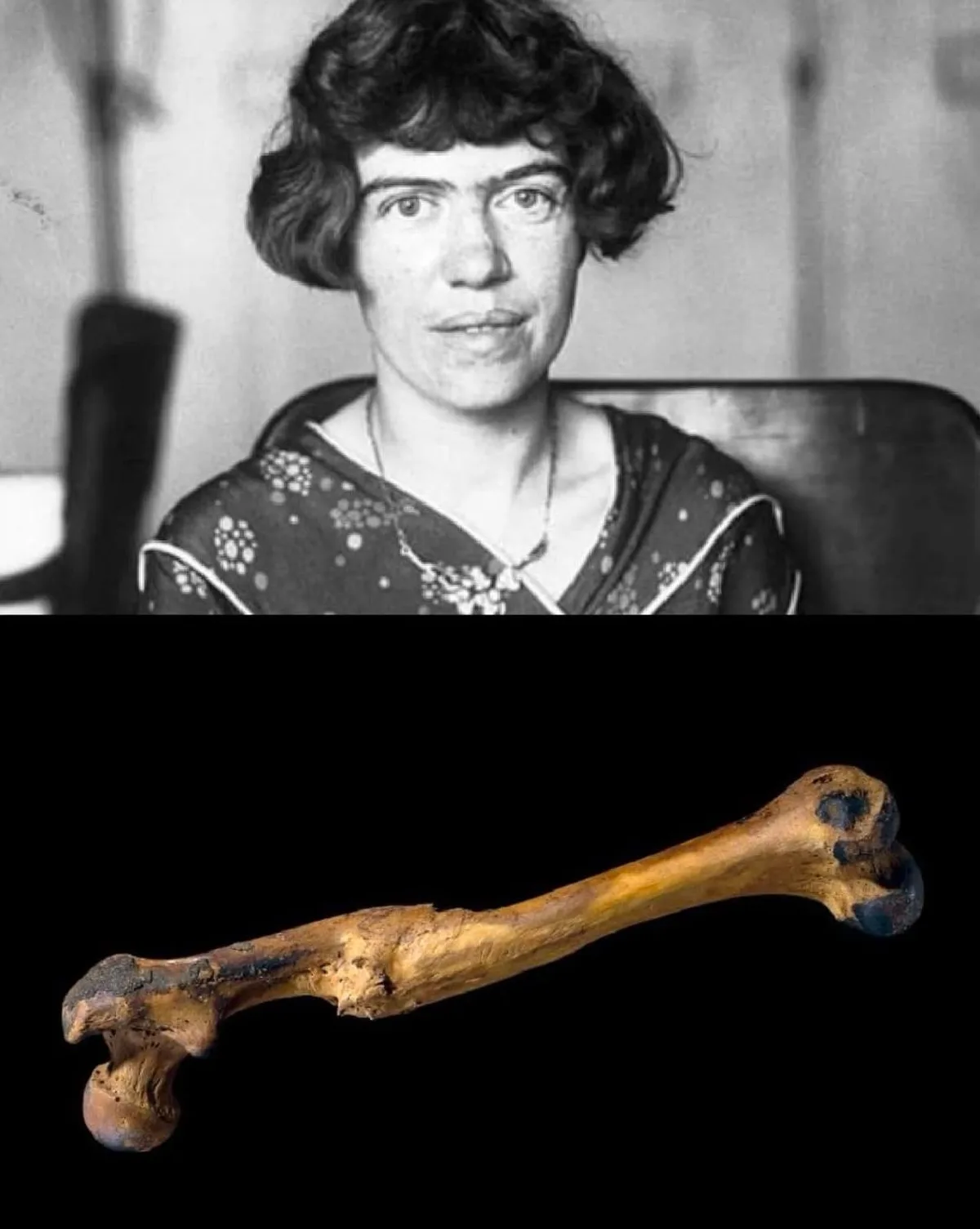 A black-and-white portrait of a woman with short, wavy hair and a patterned dress is split with a photo of a long bone…